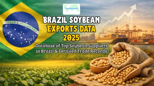 Brazil Soybean Exports: Trade Flow Shifts in Prediction Markets
