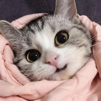 Butane Boost: Prediction Markets as a Tool for Butane Price Futures Trading