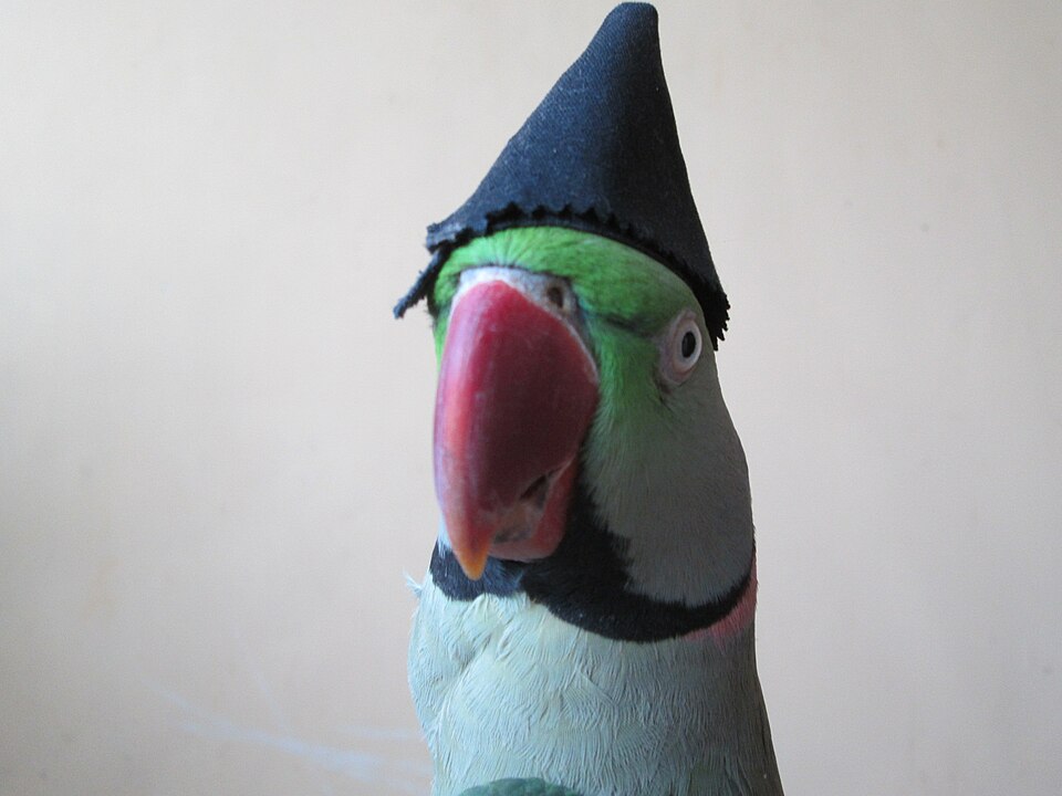 Illustration: 2026 Cricket Prediction Markets Landscape