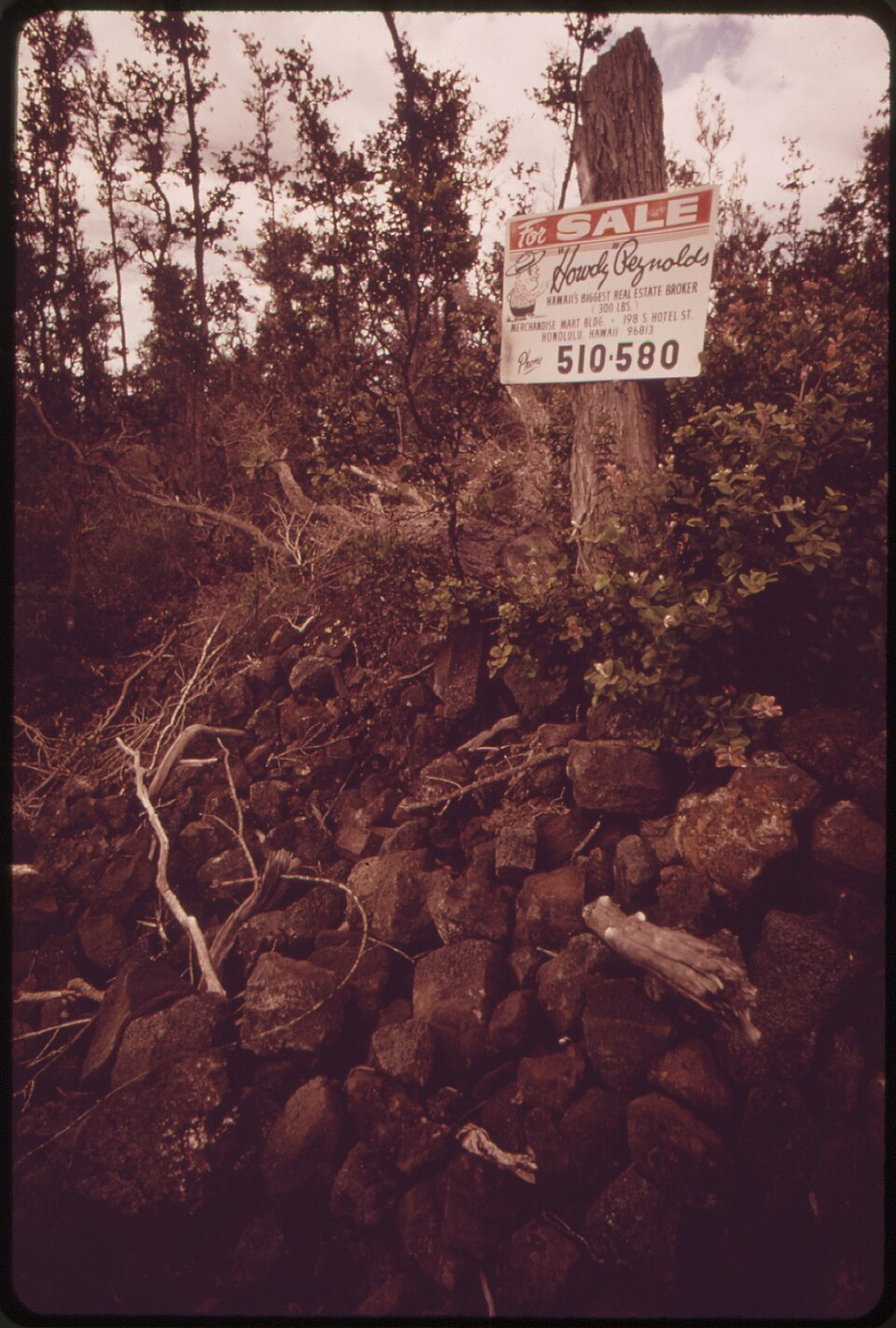 Illustration: Advanced Strategies: Arbitrage Between Real Estate Prediction Markets and Traditional Instruments Illustration: Advanced Strategies: Arbitrage Between Real Estate Prediction Markets and Traditional Instruments