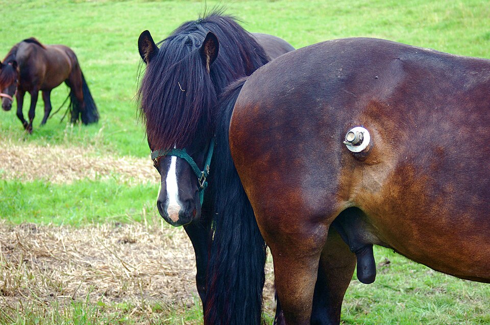 Illustration: Analyze Market Efficiency and Pricing