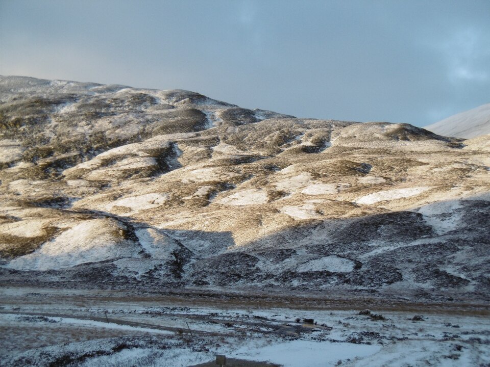 Illustration: Beyond Politics: Diversifying into Untapped Sports Prediction Markets