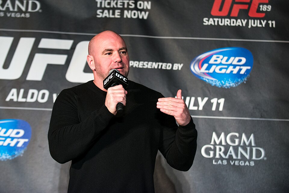 Illustration: Building Your PPV Prediction Model: A Trader's Checklist Illustration: Building Your PPV Prediction Model: A Trader's Checklist