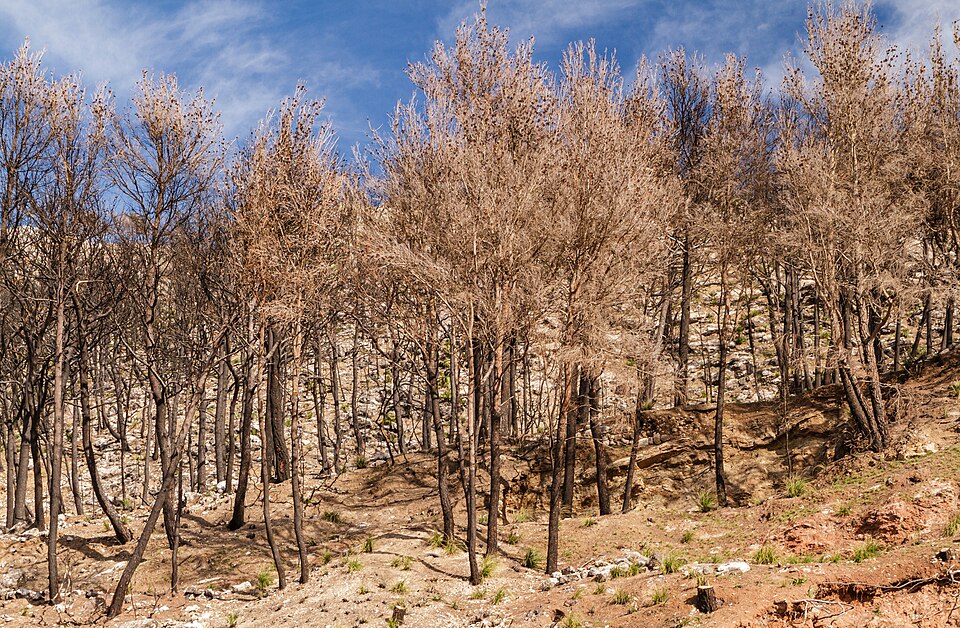 Illustration: Corporate Hedging: Why Energy Giants Bet $15M on Winter Temperatures Illustration: Corporate Hedging: Why Energy Giants Bet $15M on Winter Temperatures