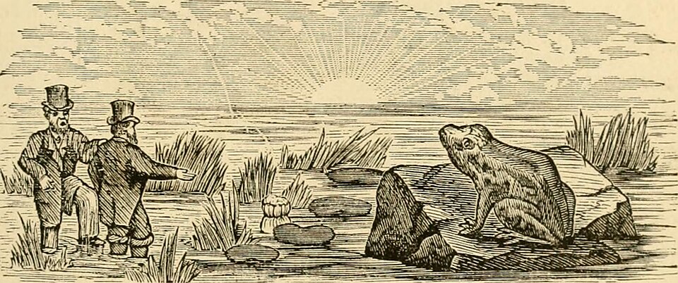Illustration: Cross-Sport Odds Comparison: Where Prediction Markets Win Big