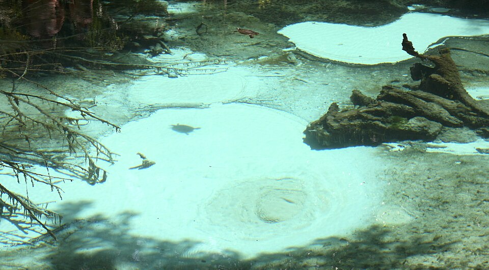 Illustration: Future Outlook and Market Maturity Timeline Illustration: Future Outlook and Market Maturity Timeline