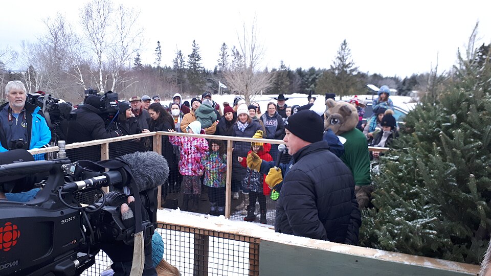 Illustration: How Does the Wisdom of Crowds Enhance Prediction Accuracy? Illustration: How Does the Wisdom of Crowds Enhance Prediction Accuracy?