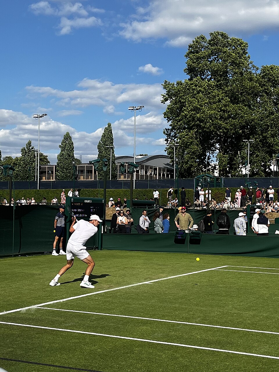 Illustration: Injury-Adjusted Probabilities: The Hidden Factor in Wimbledon Betting