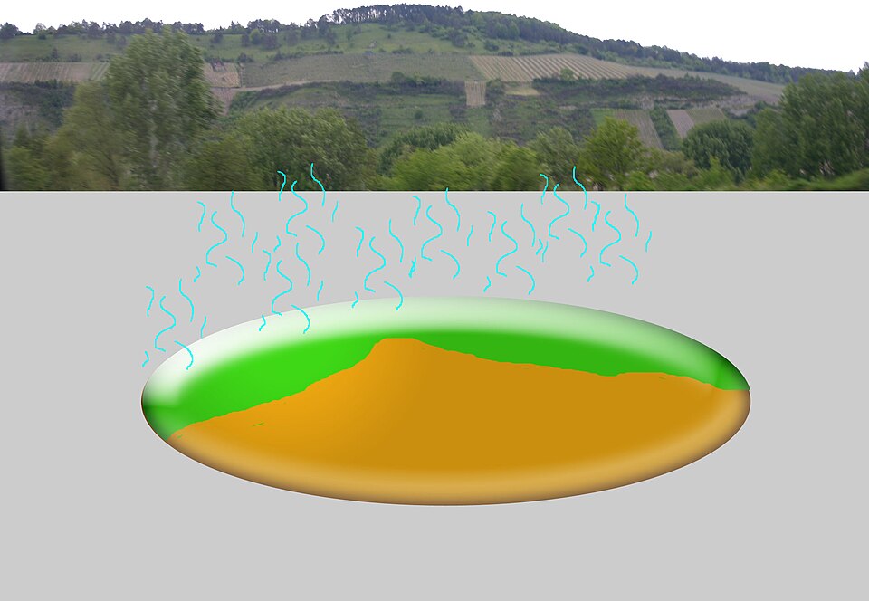 Illustration: Prediction Market Accuracy — Historical Performance Analysis Illustration: Prediction Market Accuracy — Historical Performance Analysis
