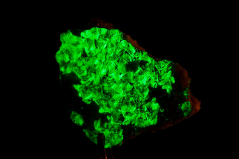 Illustration: Regulatory Framework for Trading Radioactive Elements