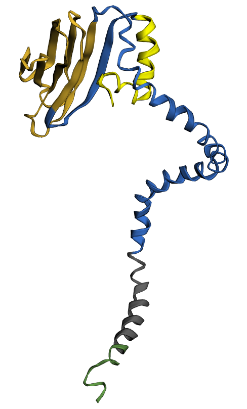Illustration: The Digital Asset Evolution Illustration: The Digital Asset Evolution