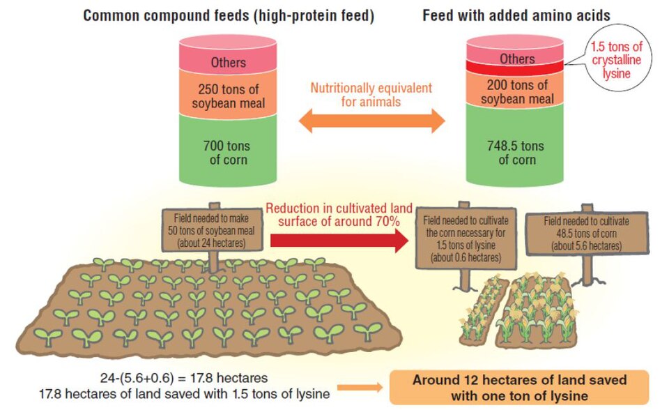 Illustration: Weather Derivatives and La Niña — Prediction Market Advantage