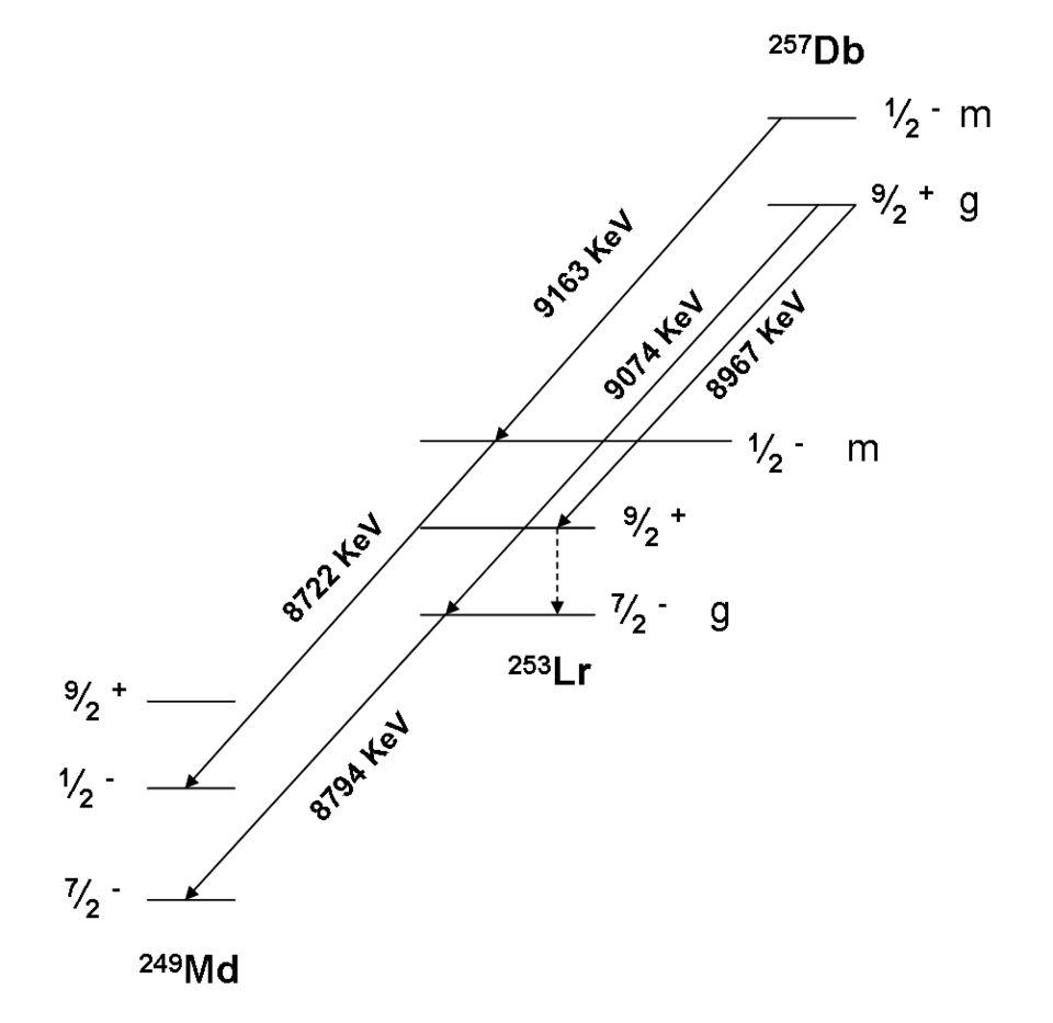 Illustration: Why Dubnium Price Contracts Don't Exist — The 16-Hour Half-Life Problem