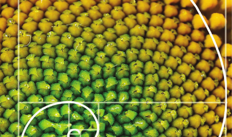 Oganesson Price Futures Markets: Trading Strategies for Element 118