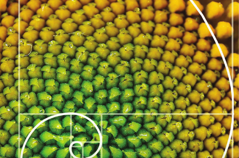 Oganesson Price Futures Markets: Trading Strategies for Element 118